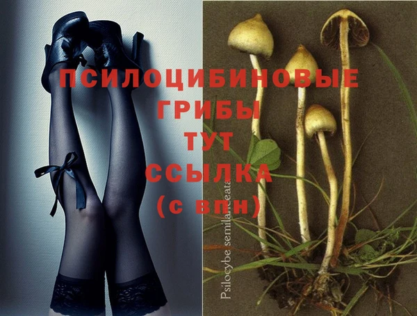 МДПВ Кукмор