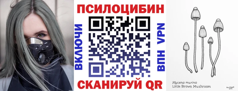 Галлюциногенные грибы мицелий  Купить закладки  Холм 